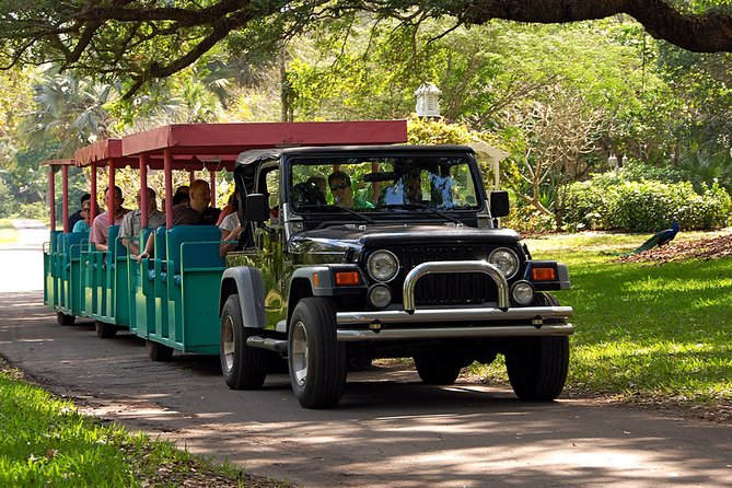 Skip the Line: Flamingo Gardens Admission Ticket in Fort Lauderdale - Visit the Wray Home Museum