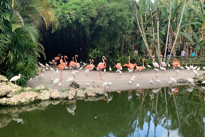 Skip the Line: Flamingo Gardens Admission Ticket in Fort Lauderdale - Start With the Map and Daily Schedule