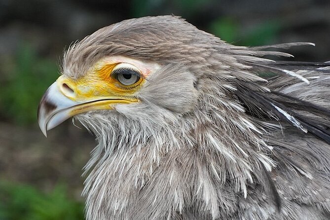 Skip the Line: World of Birds Admission Ticket - Why arriving early makes sense