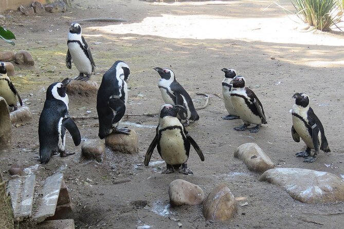 Skip the Line: World of Birds Admission Ticket - Is $7.40 good value?