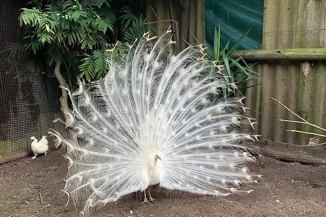 Skip the Line: World of Birds Admission Ticket - Who will enjoy World of Birds most?