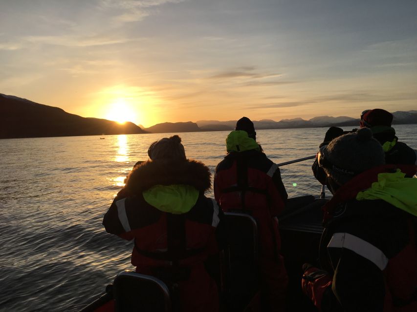 Skjervøy: Birds and Wildlife of Arctic Norway - Weather, luck, and the honest drawback
