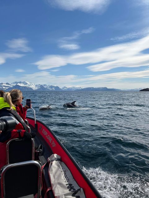 Skjervøy: Birds and Wildlife of Arctic Norway - What this Skjervøy wildlife trip is really about