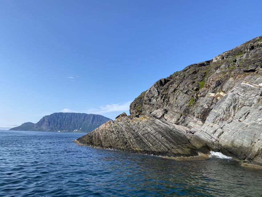 Skjervøy: Birds and Wildlife of Arctic Norway - Eagles, seabirds, and the spring and summer show