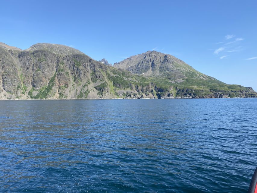 Skjervøy: Birds and Wildlife of Arctic Norway - The $165 question: is the price fair?