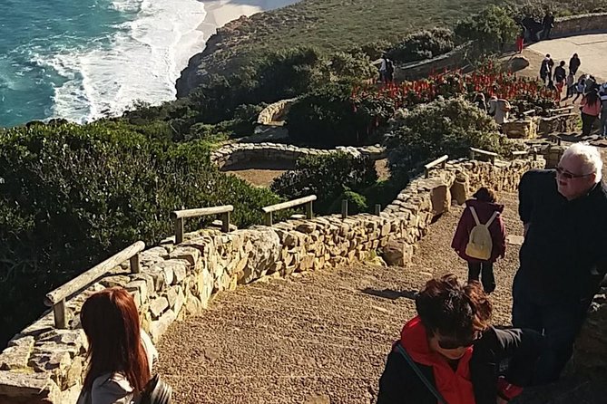 Small Group Cape Of Good Hope Penguins Wine Tasting Inc Park Fees - Hout Bay and the road toward Chapman’s Peak
