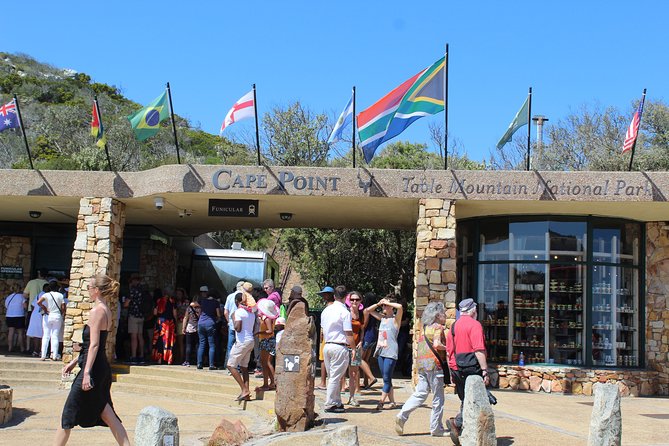 Small Group Private Tour To Cape Point Penguins From Cape Town Excl Entry Fees - Why the private format matters on an eight-hour route