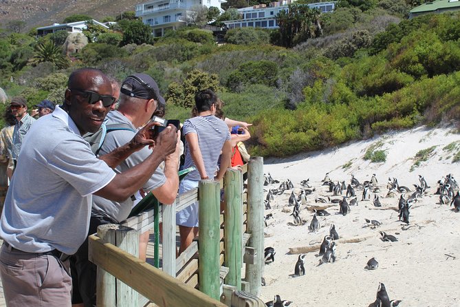 Small Group Private Tour To Cape Point Penguins From Cape Town Excl Entry Fees - Hout Bay gives you harbor time and a possible seal trip