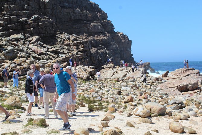 Small Group Private Tour To Cape Point Penguins From Cape Town Excl Entry Fees - Chapman’s Peak is the road you will remember