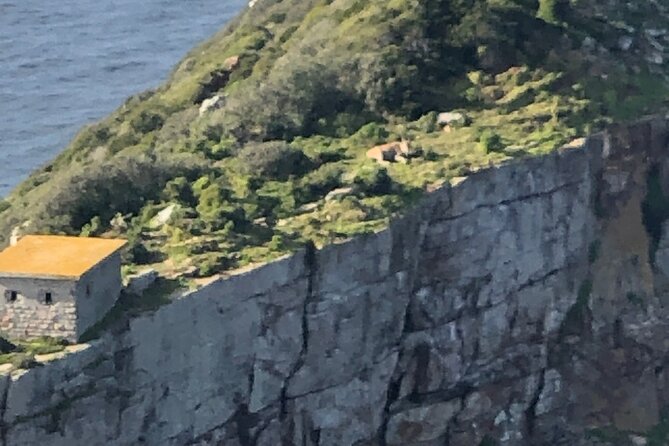 Small Group Tour Boulders Beach Penguin Colony Cape of Good Hope - Chapmans Peak earns its viewpoint stop
