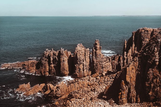 Small Tour (8 ppl) Phillip Island Hike & Penguin Parade Day Tour - Key points to know before you book