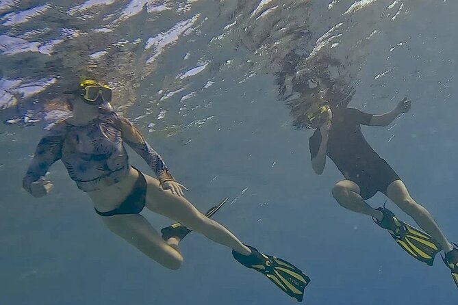 Snorkel with Turtles & see the Flamingos - Who will enjoy this tour most