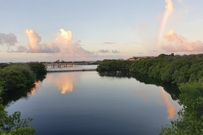 Spanish Lagoon Mangrove Trail & Bird Watching - Why this short morning tour is different