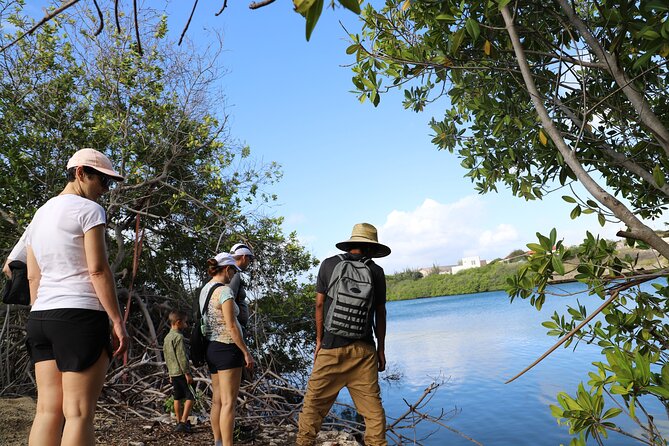 Spanish Lagoon Mangrove Trail & Bird Watching - Looking for the Shoco at the nesting areas