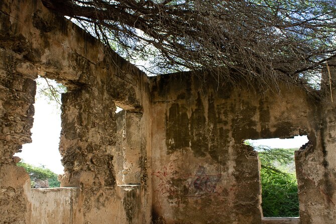 Spanish Lagoon Mangrove Trail & Bird Watching - Optional lunch at Ricardo’s overlooking Eagle Beach