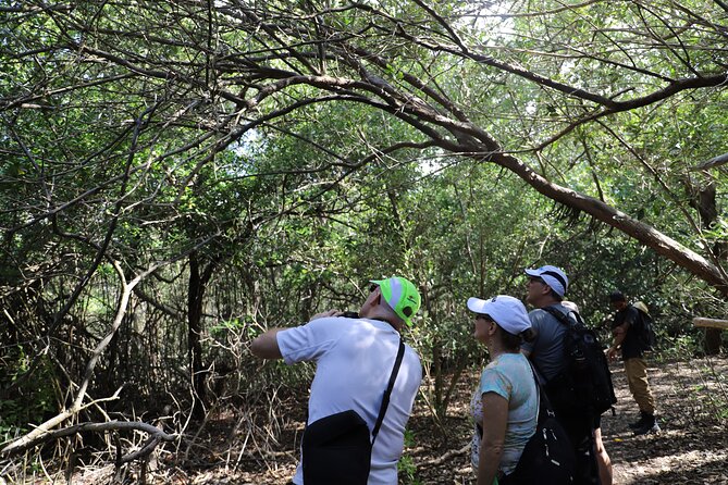 Spanish Lagoon Mangrove Trail & Bird Watching - Is $90 a fair price?