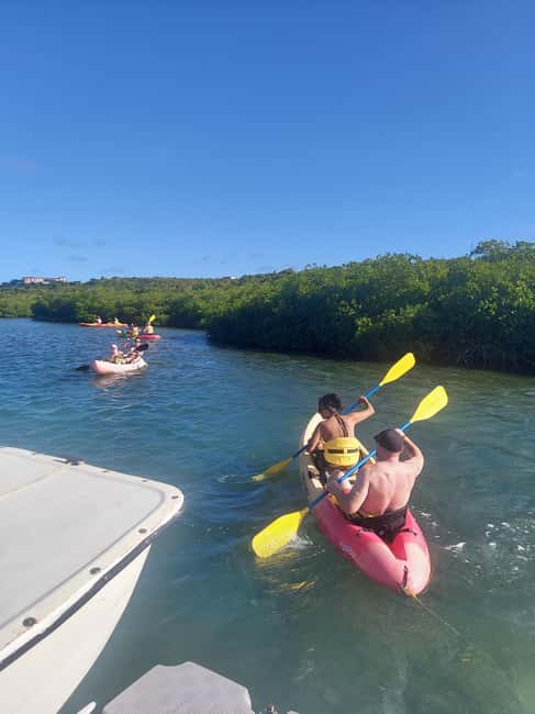 St. John's, Antigua Kayak, Snorkeling, & Beach Bird Island - Five things to know before you book