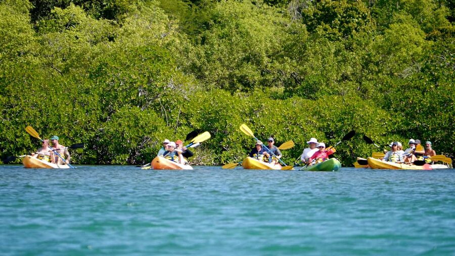 St. John's, Antigua Kayak, Snorkeling, & Beach Bird Island - The day begins with a short ride across Antigua