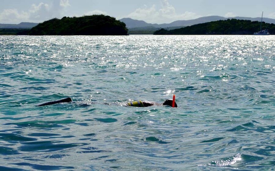 St. John's, Antigua Kayak, Snorkeling, & Beach Bird Island - Kayaking through the North Sound mangroves