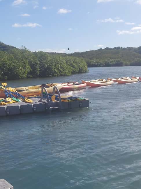 St. John's, Antigua Kayak, Snorkeling, & Beach Bird Island - What the guide can add to the experience