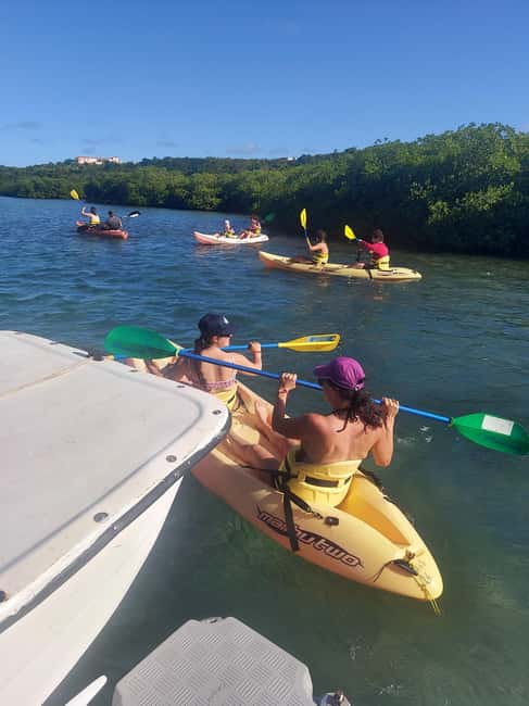 St. John's, Antigua Kayak, Snorkeling, & Beach Bird Island - Is $147 a fair price?