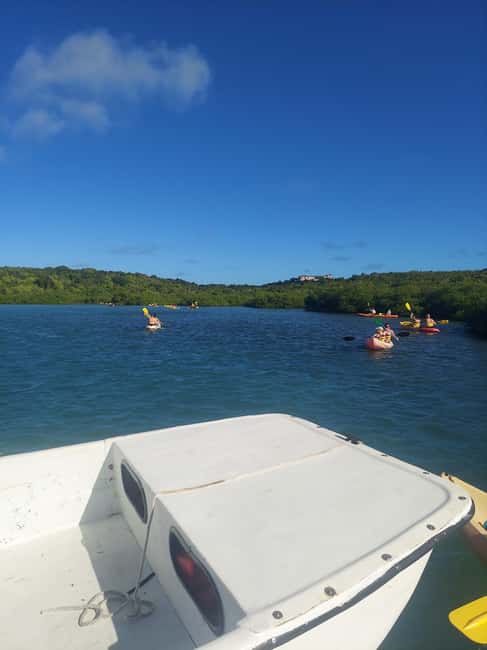 St. John's, Antigua Kayak, Snorkeling, & Beach Bird Island - Who will enjoy this Antigua water tour?