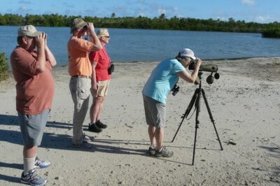 St.Martin – St.Maarten: Small Group, Birding Tour / Bird Watching Tour