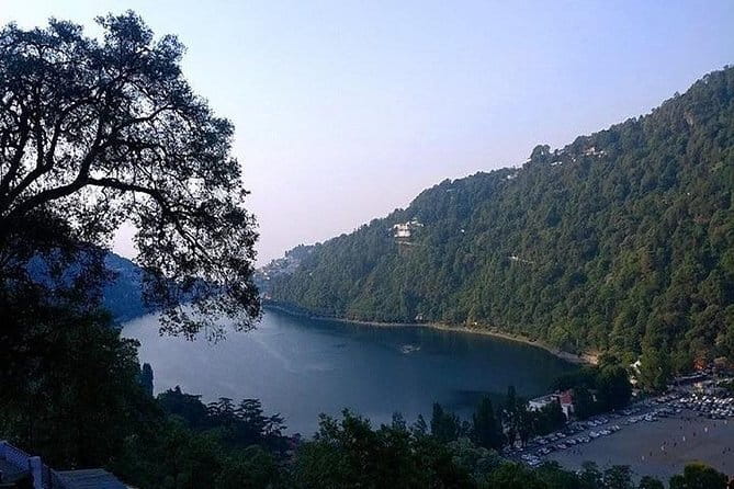 Sultanpur Bird Sanctuary Tour Near Delhi - Is $69 good value?