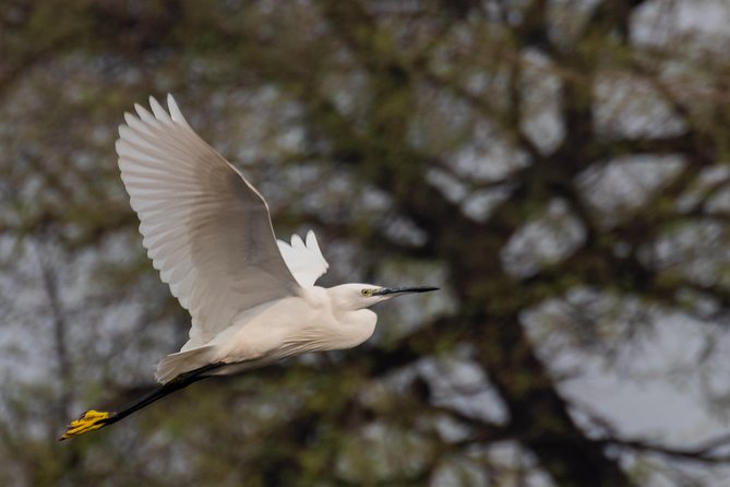 Sultanpur Birding Escapade - Breakfast beside the sanctuary