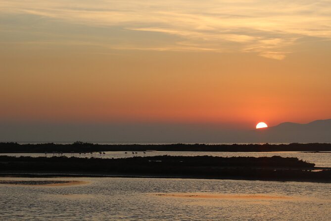 Sunset among flamingos in the Ebro Delta - Why the Ebro Delta makes a fine evening outing