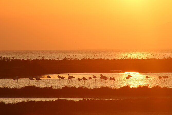 Sunset among flamingos in the Ebro Delta - Is $47.34 a fair price?