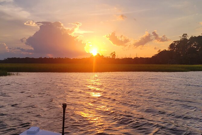 Sunset, Dolphin/Birding On A Private Guided Savannah Cruise - Birding among marsh and tidal water