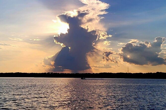 Sunset, Dolphin/Birding On A Private Guided Savannah Cruise - Watching dolphins on Moon River
