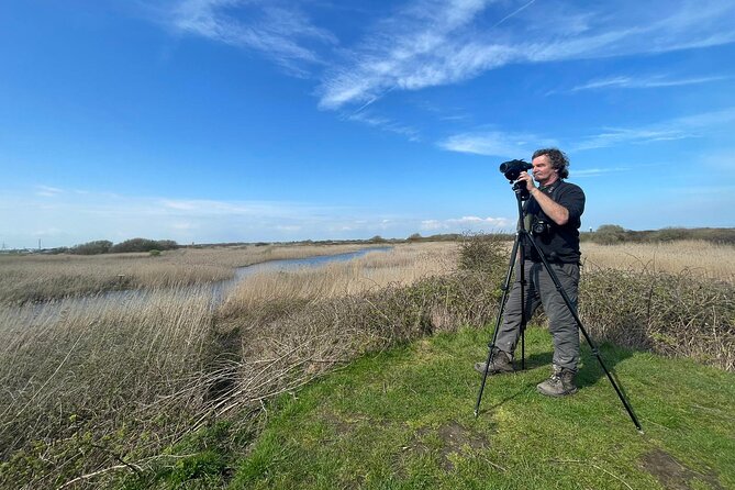 Sussex Birdwatching Private Guided Day Tour - A full day built around Sussex bird habitats