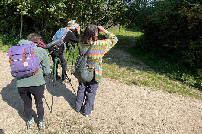 Sussex Birdwatching Private Guided Day Tour - Price, group size, and practical value