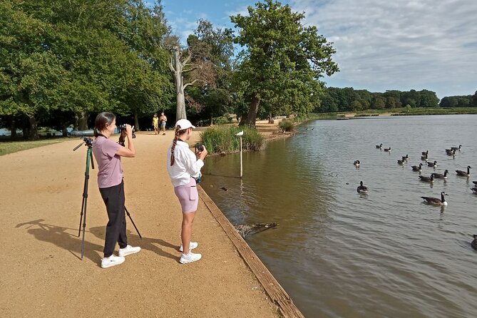 Sussex Birdwatching Private Guided Day Tour - Timing, pickup, and the shape of the day