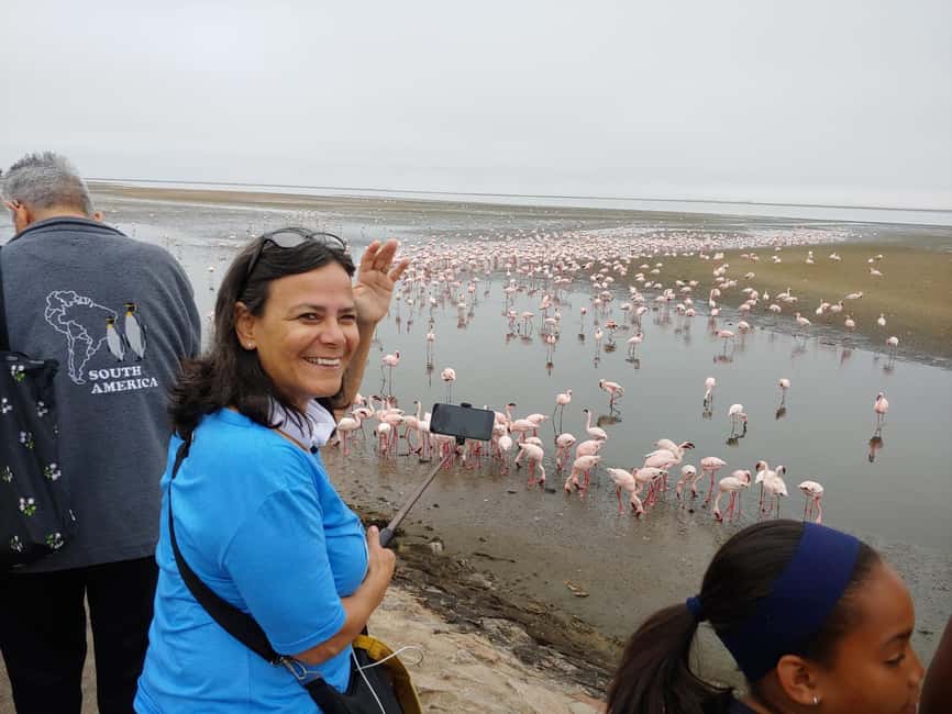 swakopmund city tour dune 7 pink lake pink flamingos - Pink lakes, salt works, and flamingos near Walvis Bay