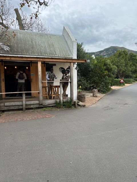 Swim with Penguins at Boulders Beach Penguin Colony - Who will enjoy this outing most