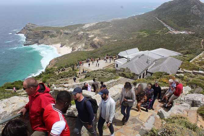 Swim with Penguins At Boulders Chapman's Peak Exc Entry Fees - Signal Hill, Clifton, and Lion’s Head