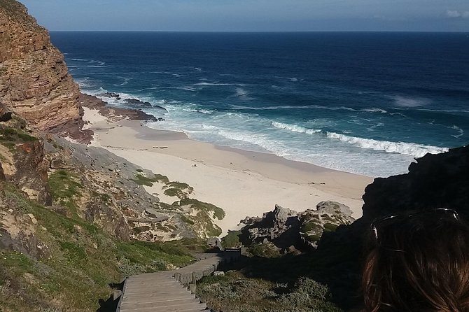 Swim with Penguins At Boulders Chapman's Peak Exc Entry Fees - Constantia Wine and Cape Town History