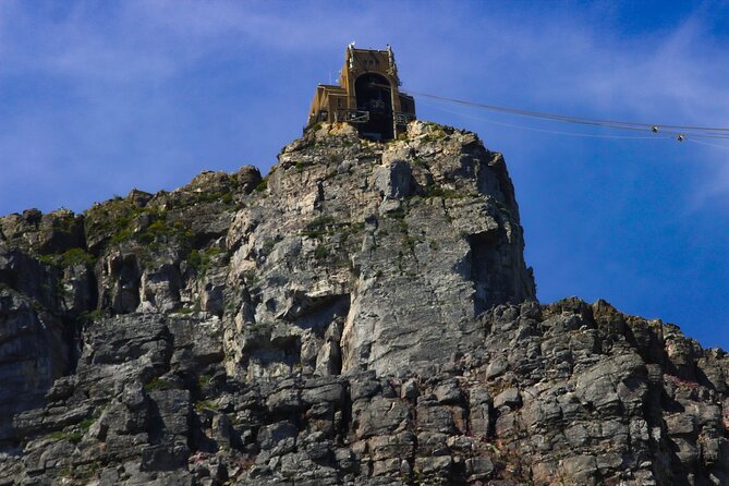 Table Mountain and Cape Peninsula Tour with Penguins - Key points at a glance