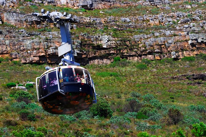 Table Mountain and Cape Peninsula Tour with Penguins - Riding the Table Mountain Aerial Cableway