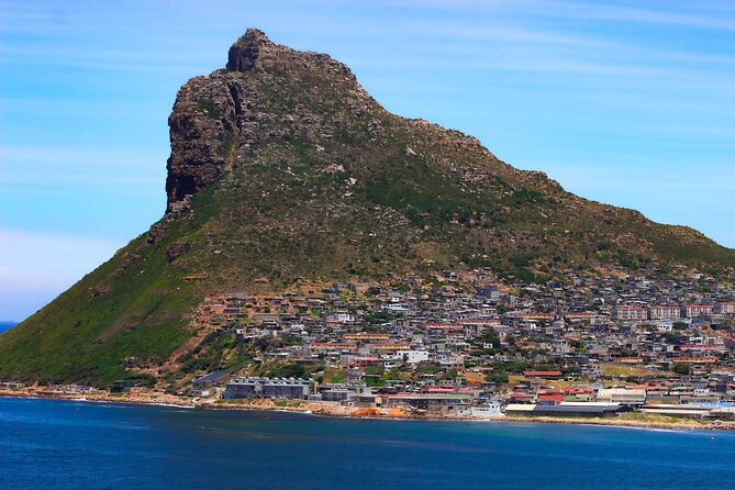 Table Mountain and Cape Peninsula Tour with Penguins - Simon’s Town and the African penguins at Boulders Beach