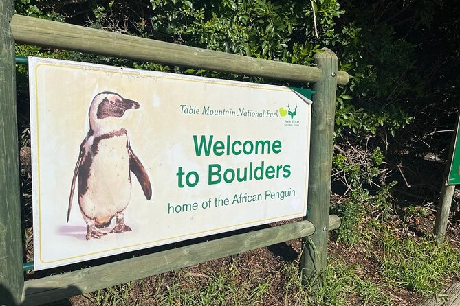 Table Mountain and Penguins Half Day Shared Group Tour - Why this five-hour route works