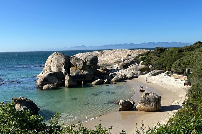 Table Mountain and Penguins Half Day Shared Group Tour - Boulders Beach brings the penguins close