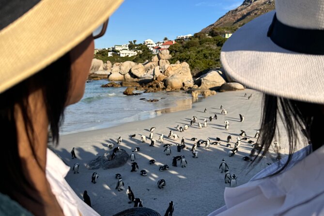 Table Mountain and Penguins Private Half Day Tour - Starting in Cape Town and the Bo-Kaap Houses