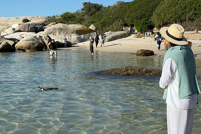 Table Mountain and Penguins Private Half Day Tour - Maiden’s Cove and the Atlantic Seaboard