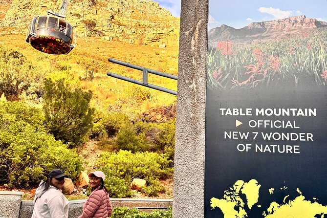 Table Mountain and Penguins Private Half Day Tour - One Hour at Table Mountain