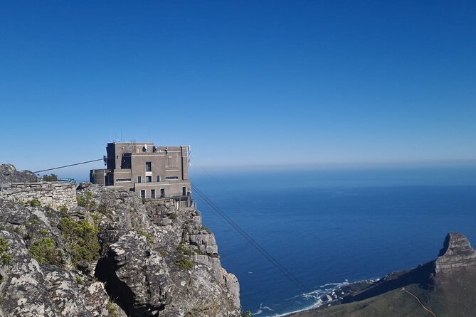 Table Mountain, Boulder's Penguins, Cape of Good Hope&Cape Point - One day, three sides of Cape Town
