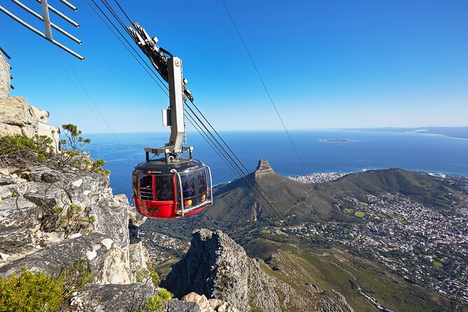 Table Mountain, Boulder's Penguins, Cape of Good Hope&Cape Point - Meeting the penguins at Boulders Beach